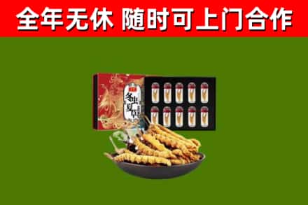 大田回收冬虫夏草价格